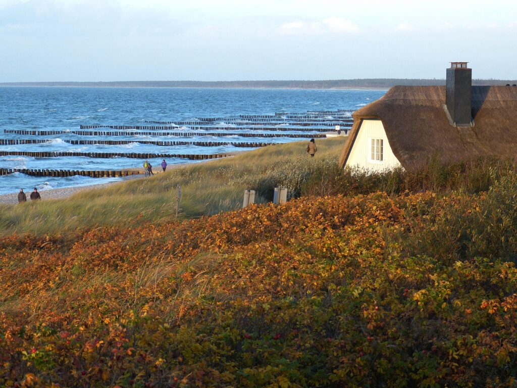 Reetdach auf Sylt